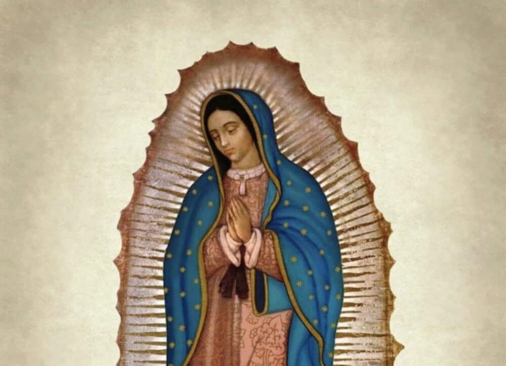 Our Lady of Guadalupe. The Guadalupana.